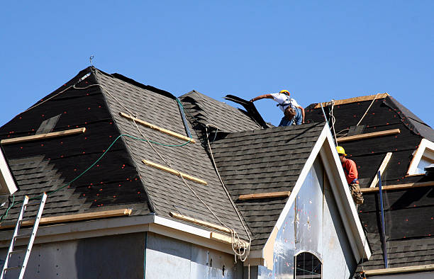 Best Roof Gutter Cleaning  in Third Lake, IL
