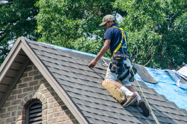 Best Roof Waterproofing Services  in Third Lake, IL